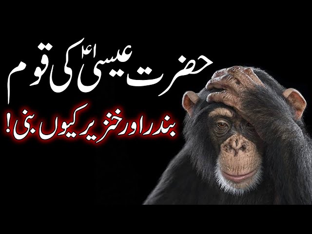 Hazrat Essa AS Ki Qoum Ko Allah Ne Bandar aur Khanzeer Kyun Bana Dia Tha? | Wasif Ali TV