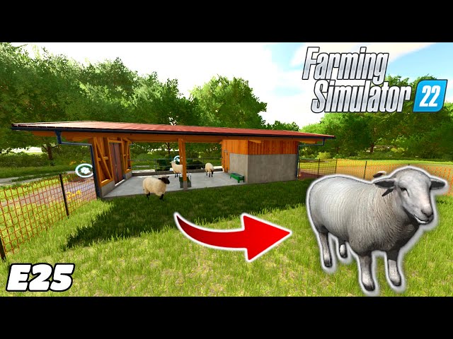 Buying The Sheep! | Farming Simulator 22 - Organic Farming Challenge | E25