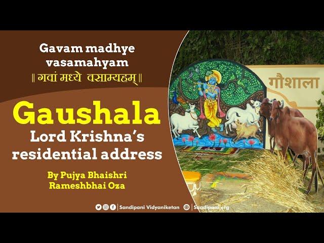 Gaushala—Shri Krishna’s Place of Work or Rest? | Sandipani Gaushala