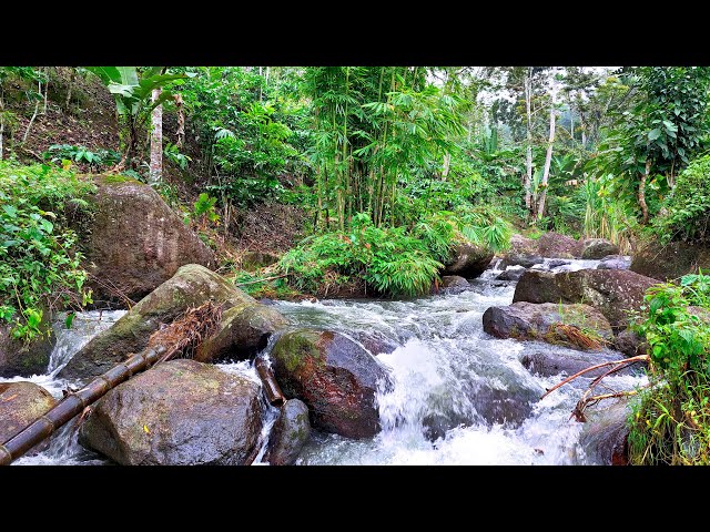 Rushing River Stream With Roaring Water Stream Sounds Flowing Over Boulders Will Lead You To Peace