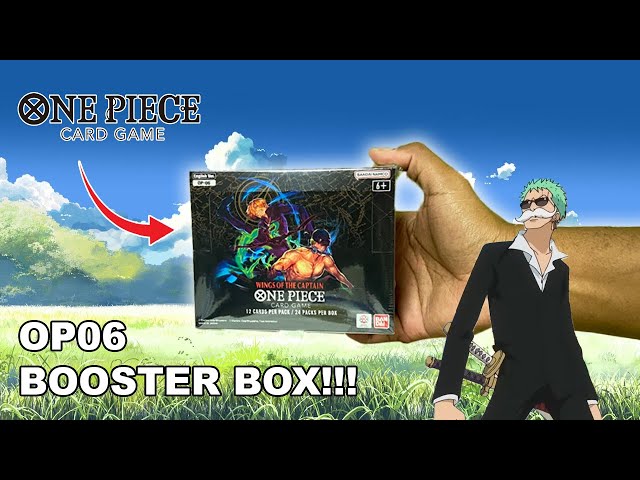 Let’s Look For Zoro! OP06 Wings of the Captain! One Piece TCG Booster Box!