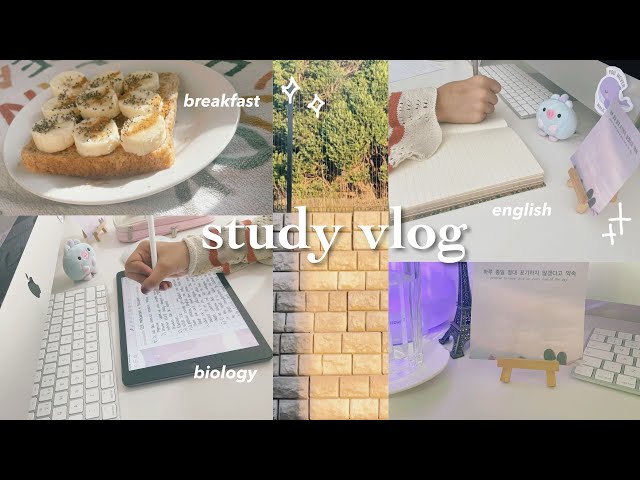 ⁺productive study vlog⁺ 🐰 chill and aesthetic