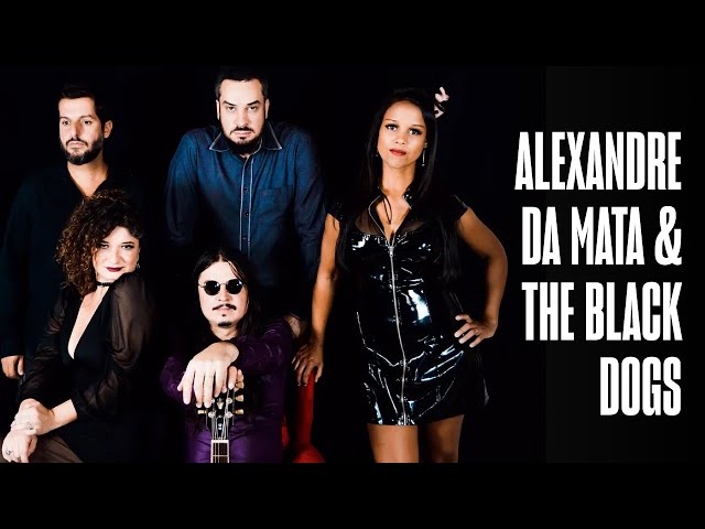 ALEXANDRE DA MATA & THE BLACK DOGS: BLUES NIGHT