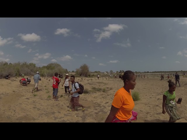 360 Planting Mangroves at Plan Vivo Launch Madagascar