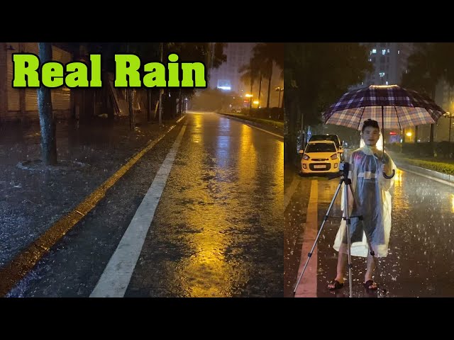 Torrential Rain on Canada Street with Heavy Thunder - Real Rain and Thunderstorm Sounds for Sleeping