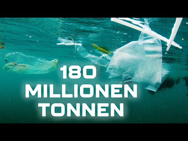 Was bedeutet Plastik im Meer für die Tiere?