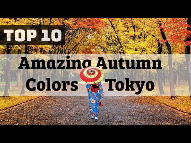 Tokyo's Best Autumn Color Spots - Ranked in 6 Minutes! │ 2023 Guide