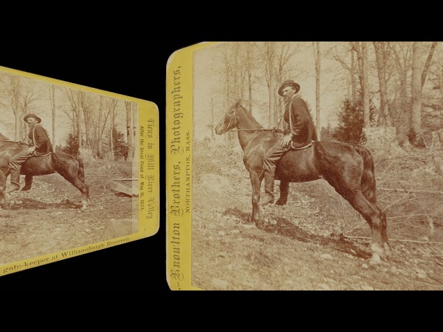 George Cheney & horse, Mill River Flood 1874 (VR 3D still-image)