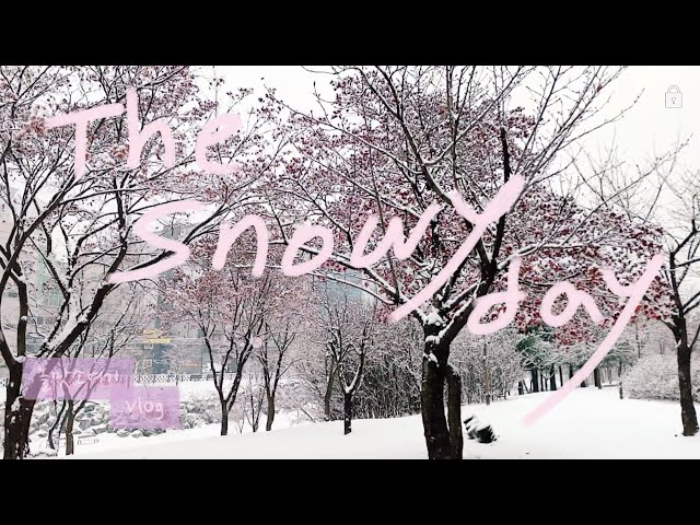 눈누난나 ❄ 겨울갬성 🌨 눈이 내려주었어 ☃ 의정부 용현동 1.12일자 폭설ver