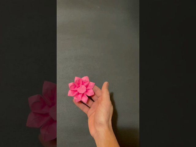 Origami flower time lapse