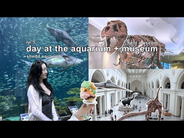 introvert intern diaries | ep. 5: a day in chicago aquarium + museum vlog 🫧