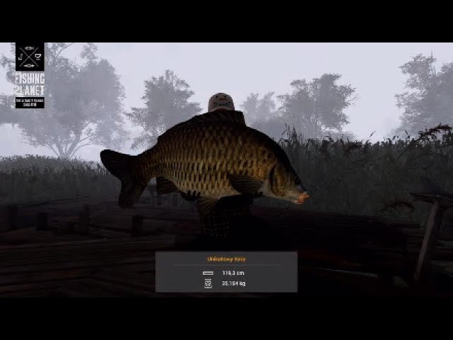 Unique Common Carp - Dnipro River Ukraine - Fishing Planet