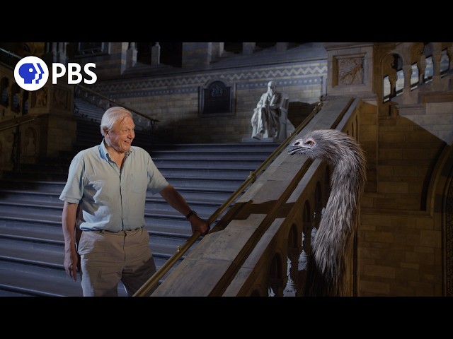 Coming Soon: Museum Alive with David Attenborough