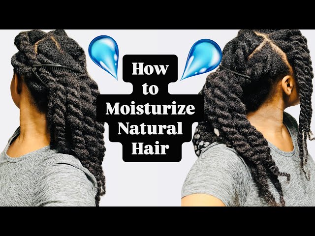 The Ultimate Guide to Moisturizing & Styling Dry Natural Hair