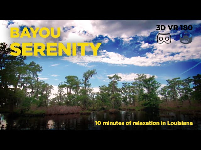 Bayou Serenity: Relax in Louisiana's Natural Beauty - 3D VR 180 Experience