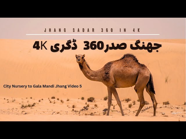 City Nursery to Gala Mandi Jhang |360degree 4K|  Jul 2024