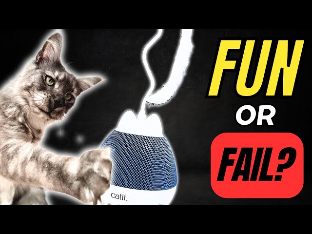 Catit PIXI Spinner: FUN or FAIL? | SMART Interactive Cat Toy Review & Comparsion