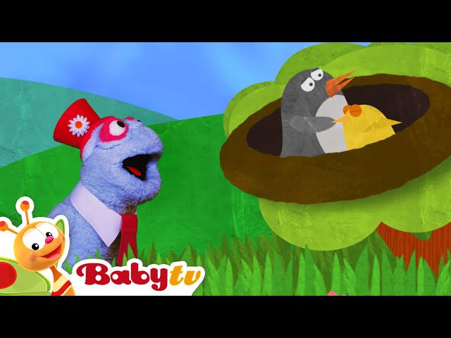 Rompecabezas, música y diversión para niños 🎉 🧒| Juegos de primeros conceptos @BabyTVSP