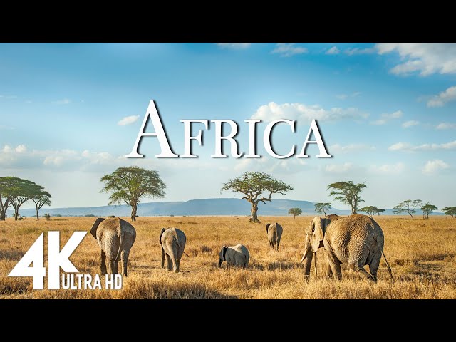 FLYING OVER AFRICA (4K UHD) - Relaxing Music Along With Beautiful Nature Videos - 4K Video