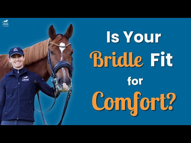 Fit Your Bridle for Optimal Comfort