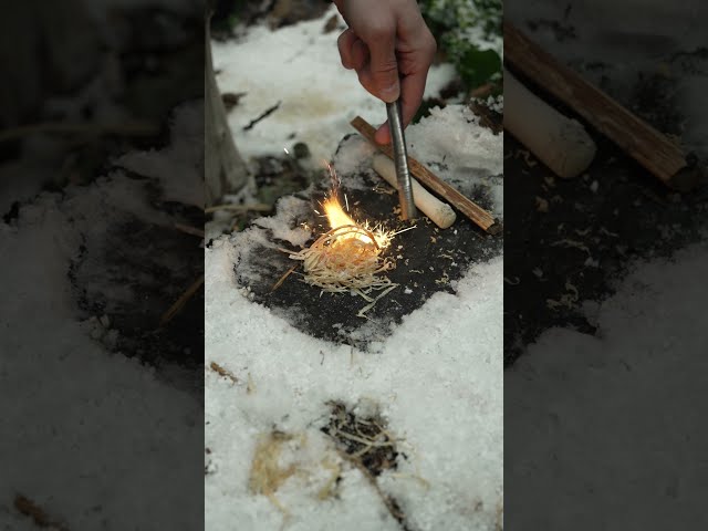 How To Start A Fire In Soaking Wet Conditions #survival #camping #bushcraft #fire