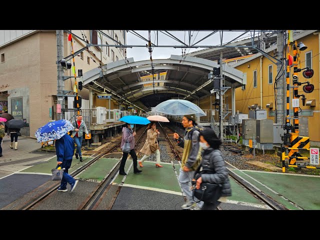 Rainy Morning Walk in Jiyugaoka, Tokyo ☔