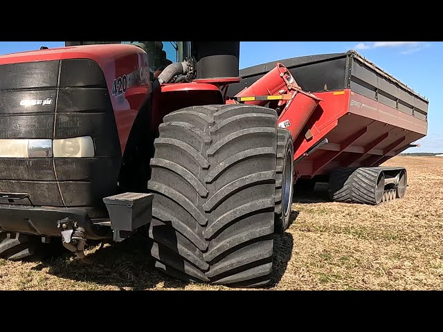 CANADIAN FARMER - BIG GUNS- BIG HARVESTERS and BIG tractors hauling to the BIG grain bins.