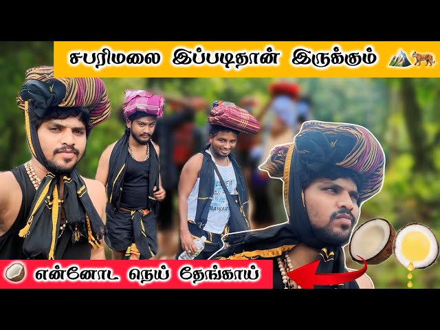 😨சபரிமலையில இவ்வளவு இருக்கா⁉️#aswincharu #trending #sabarimala #youtube #viralvideos #ayyapan