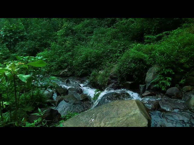 River's Calm and Mystical Tunes