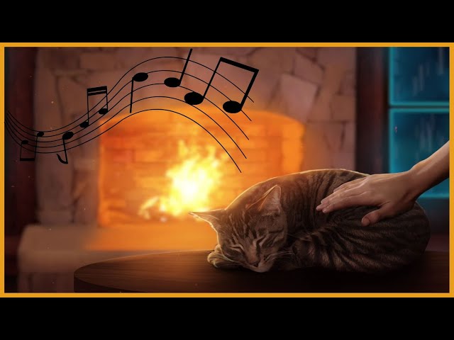 Relaxation music for cats 🎵 Music for cats to fall asleep and relax