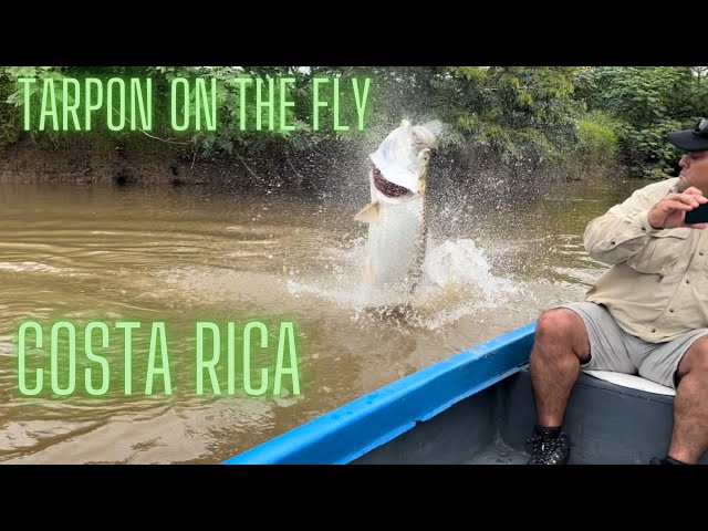 Bucket List Tarpon fishing on the fly in Costa Rica!