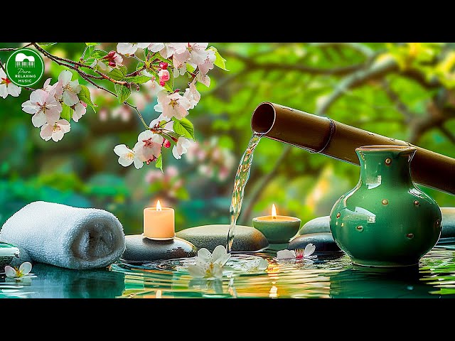 Relaxing Spa Music 🌿 Beautiful Piano Music, Calm Music, Meditation, Nature Sound, Bamboo Water Sound