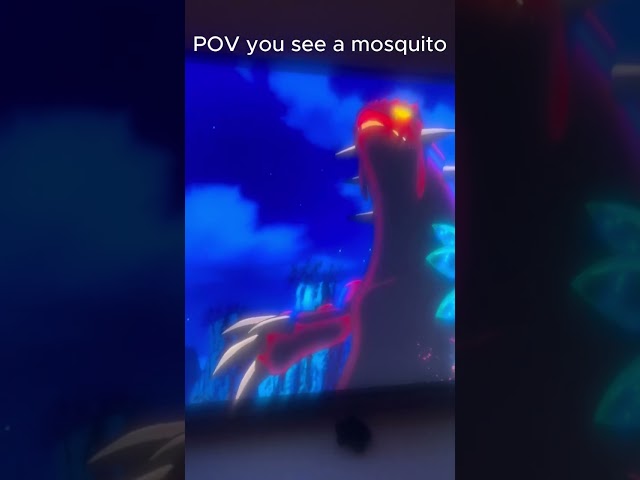 When you see a mosquito