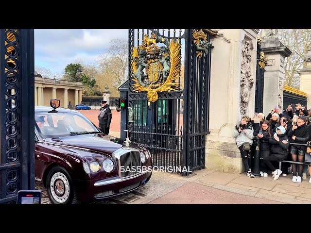 KING CHARLES SURPRISES EVERYONE WAITING FOR CHANGING OF THE GUARD.