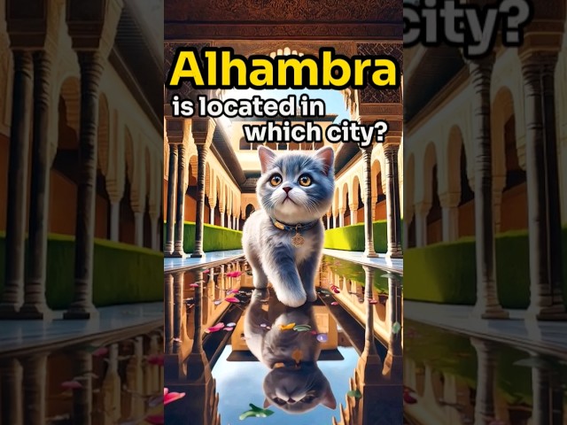 【CAT STORY】 GUESS The Alhambra is located in which city? #quiz #shorts #subscribe #cat #cute  #funny