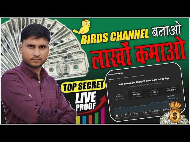 How To Grow Birds story Channel | Youtube Channel Growing Tips | How To Grow Your Channel