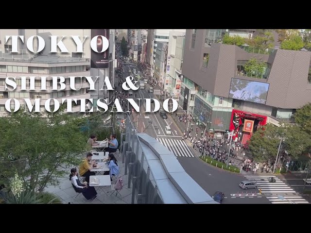 TOKYO SHIBUYA & OMOTESANDO HARAJUKU　 東京渋谷、原宿表参道の散策