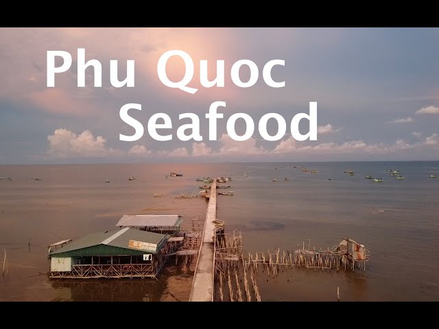 Phu Quoc Island Adventures Lang Chai Ham Ninh Seafood 🇻🇳 Episode 6