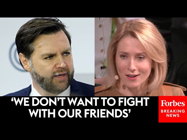 EU Foreign Affairs Representative Responds To JD Vance’s Speech: He ‘Tried To Pick A Fight’