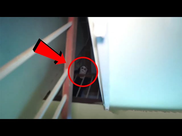 Top 15 Scary Videos That Stunned Viewers