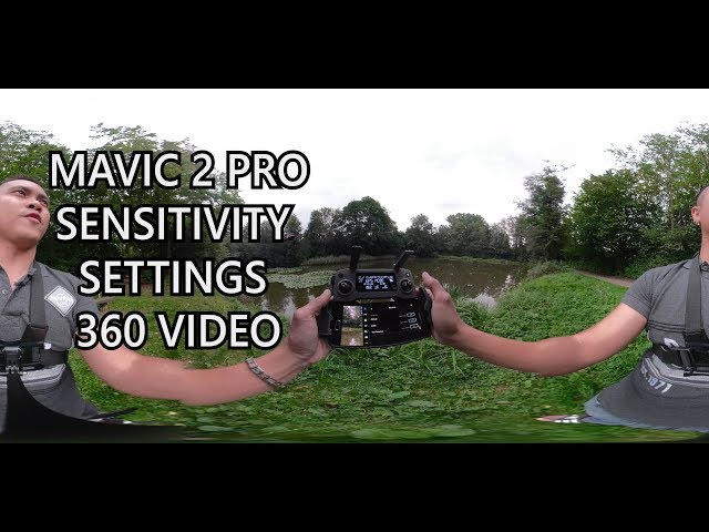 DJI Mavic 2 Pro Sensitivity Settings