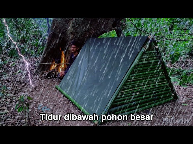 Camping Diguyur Hujan Deras Saat Malam, Bakar Ikan Dan Berkemah di Bawah Pohon Besar Di Hutan