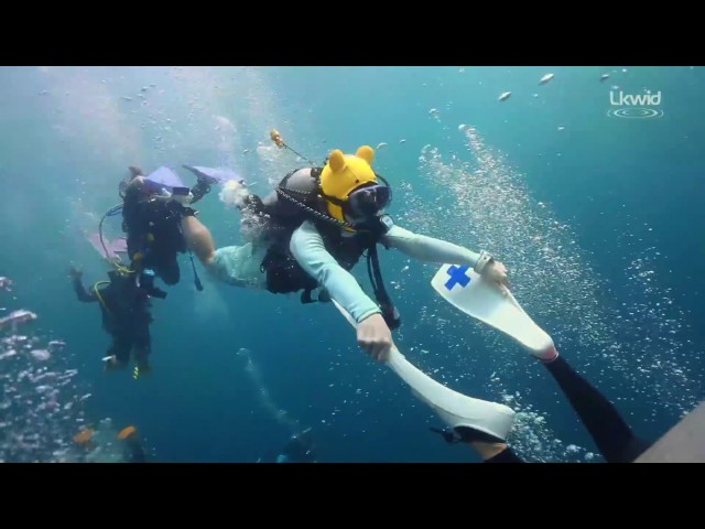 Scuba diving party gone wild: Sipadan 🇲🇾