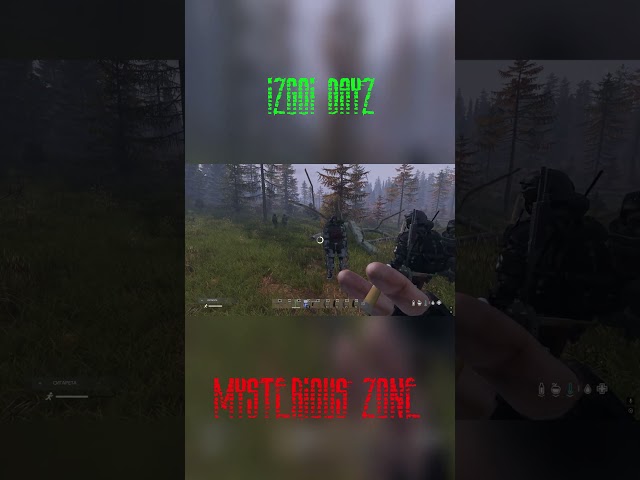 ЭТО ДАЖЕ НЕ БЫЧОК, ВУХУ #shorts #dayzrp #dayz #rp #roleplay #военные #бычок #mysteriouszone