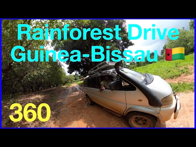 Rainforest Drive, Punto, Guinea-Bissau 🇬🇼  Ep.168