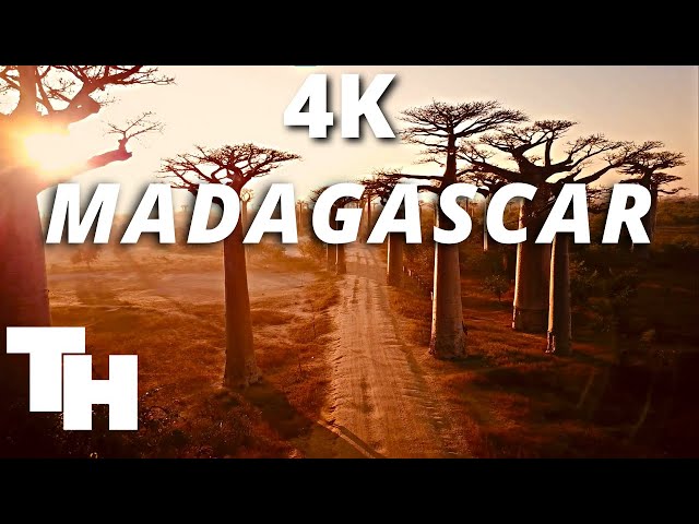 Madagascar 4K drone