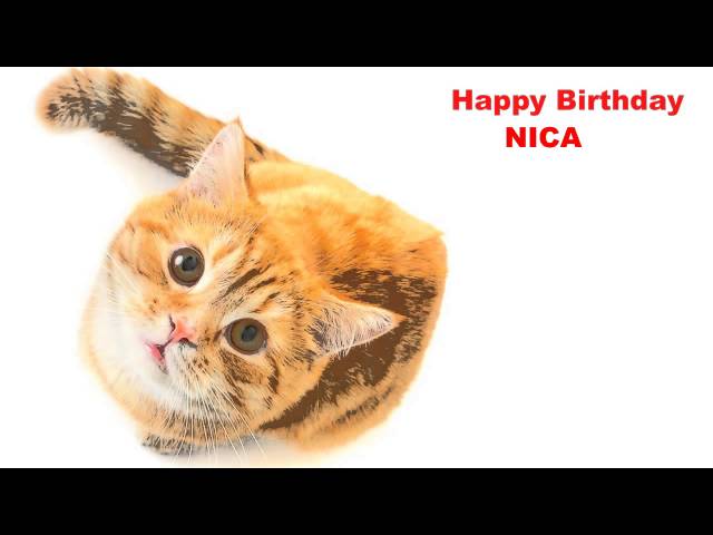 Nica   Cats Gatos - Happy Birthday