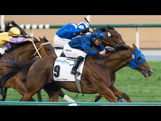 LIVE: Dubai Racing Carnival from Meydan - Friday February 14 2025