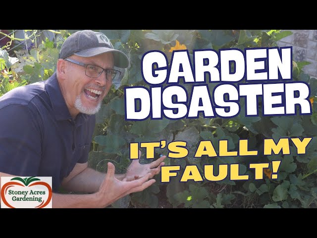 Garden Disaster   It's ALL My Fault