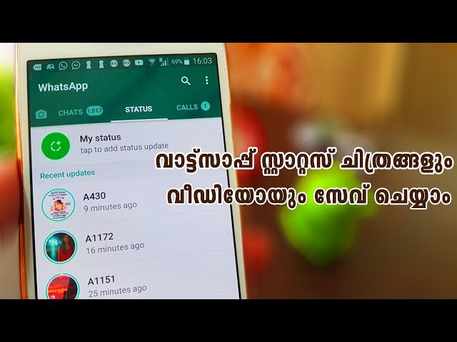 How to save / download whatsapp status pictures and videos